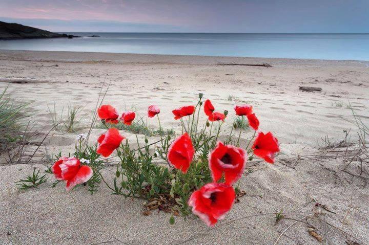 Apart Hotel Apolonia Palace