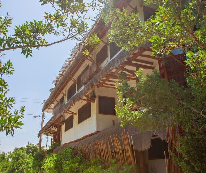 Deluxe Apartments Holbox