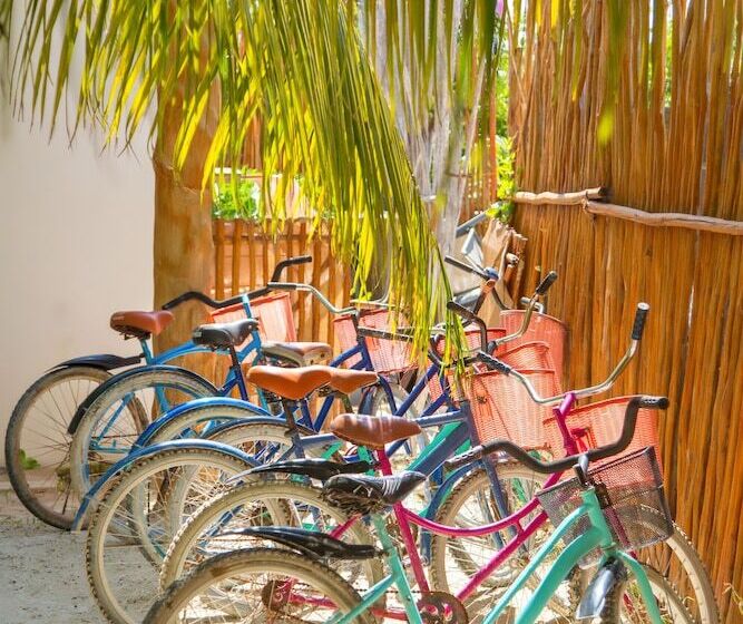 Deluxe Apartments Holbox