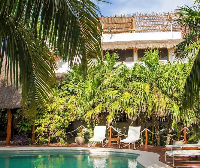 Deluxe Apartments Holbox