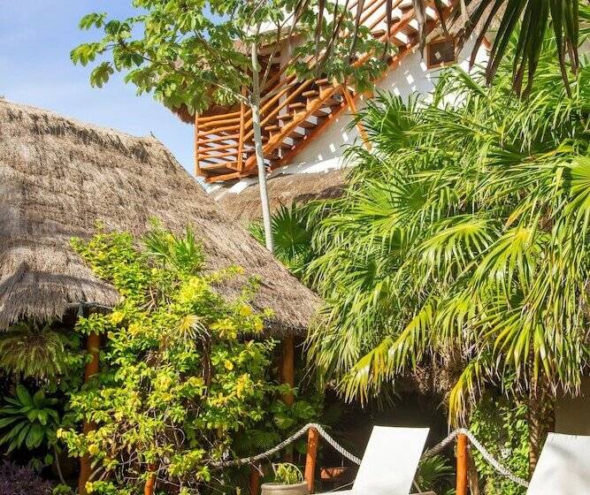 Deluxe Apartments Holbox