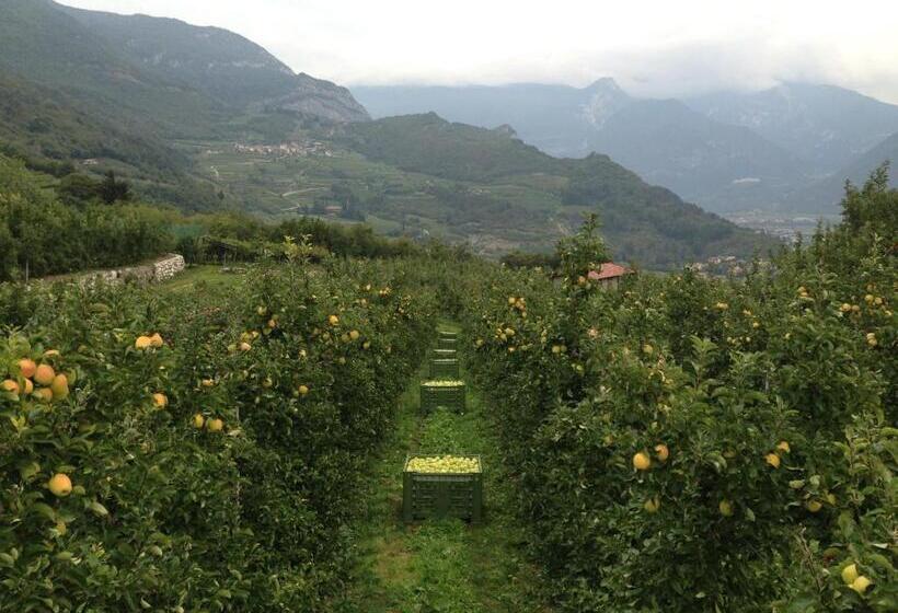 فندق Agritur Le Pergole