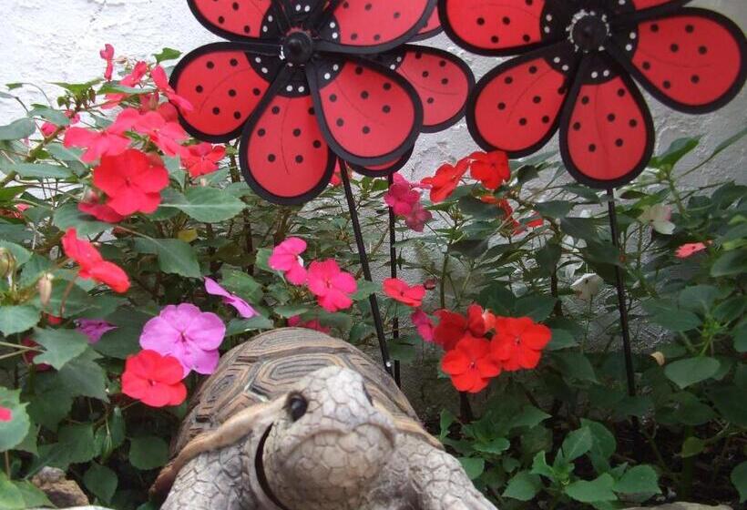 فندق Agritur Le Pergole