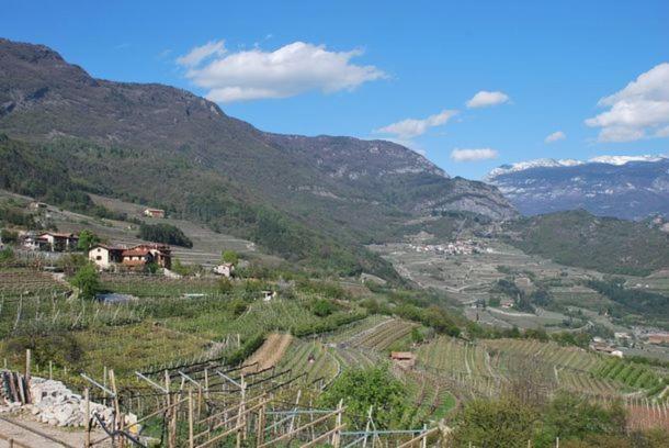 فندق Agritur Le Pergole