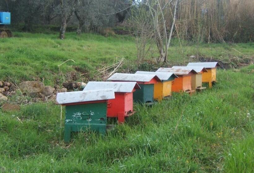 호텔 Agriturismo Casa Fibbianello