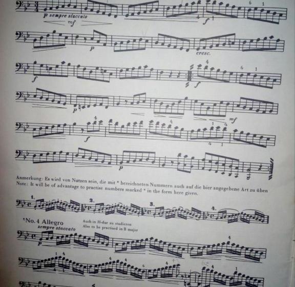 ホテル Società Agricola Le More Agriturismo La Dondina