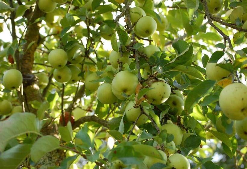 호텔 Bio Agriturismo Aia Del Tufo