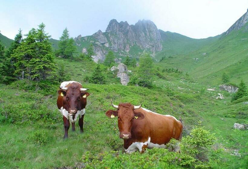 בית מלון כפרי Biobauernhof Aubauer