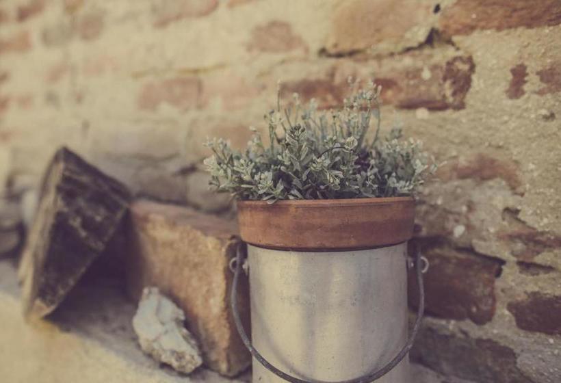 酒店 Borgo Casa Scaparone