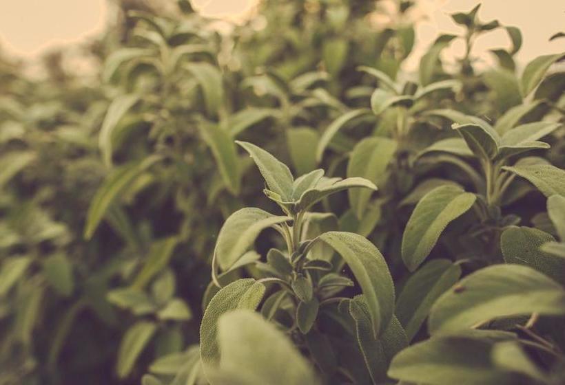 酒店 Borgo Casa Scaparone