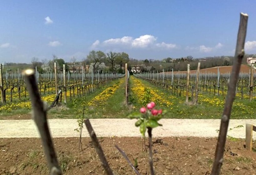 בית מלון כפרי Caspineda Agriturismo