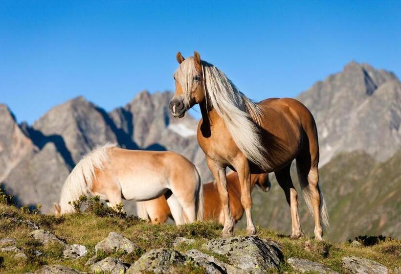 בית מלון כפרי Denggnhof