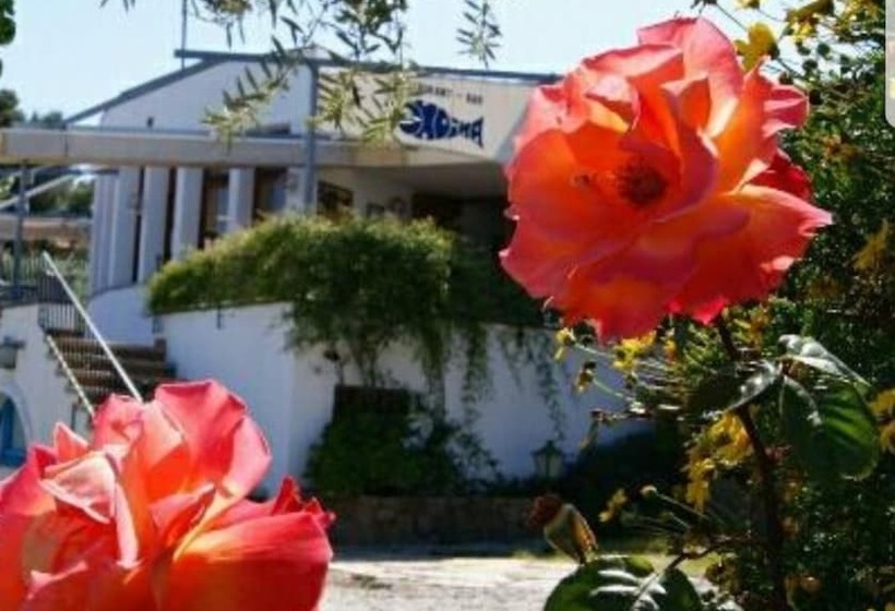 هتل Hostal Ondina