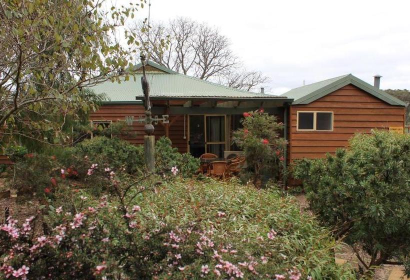 هتل Sunflowers Animal Farm & Farmstay