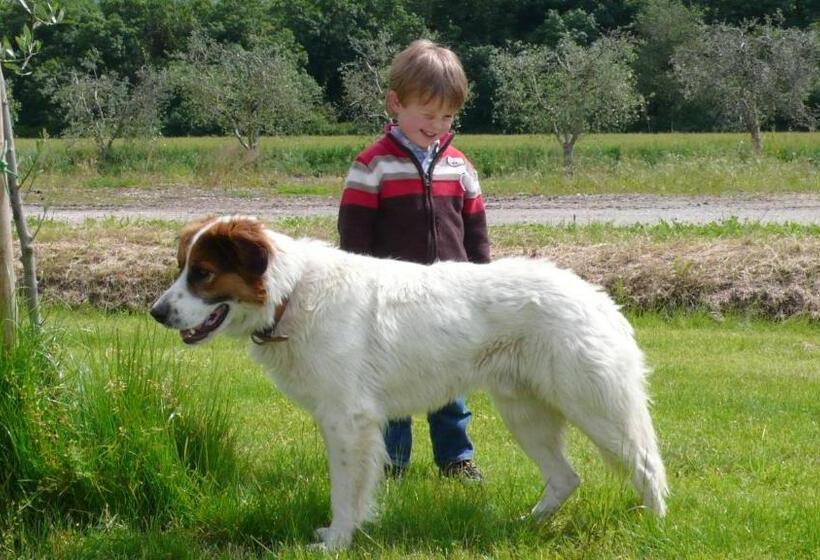 La Fattoria Di Tirrenia