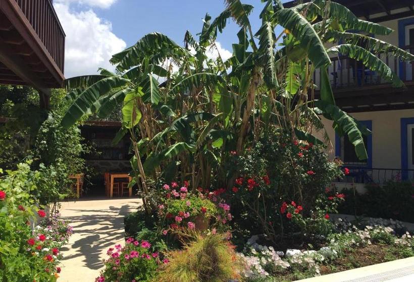 Paradise Garden Apartments