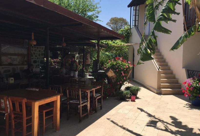 Paradise Garden Apartments