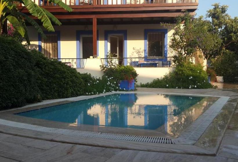 Paradise Garden Apartments