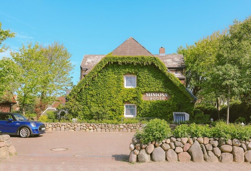 פנסיון Mimosa House