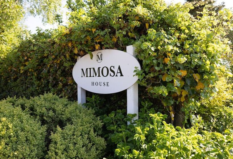 פנסיון Mimosa House