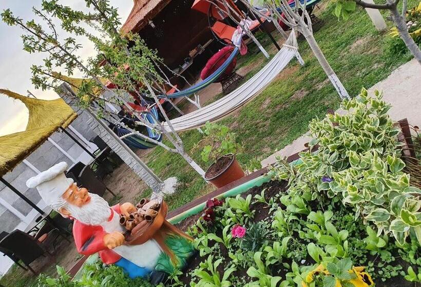 פנסיון Casa Yachi Vama Veche