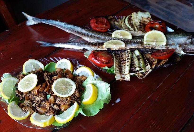 פנסיון Casa Yachi Vama Veche