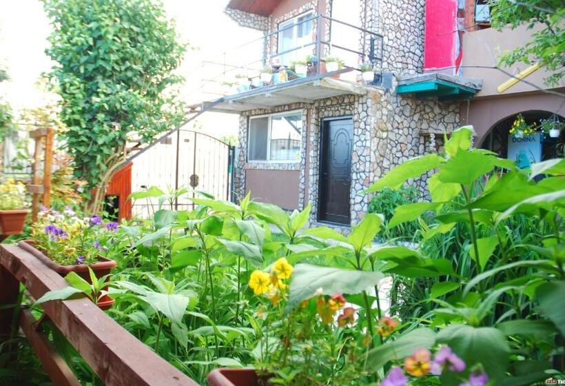 פנסיון Casa Yachi Vama Veche