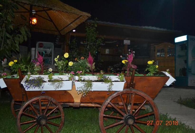 פנסיון Casa Yachi Vama Veche