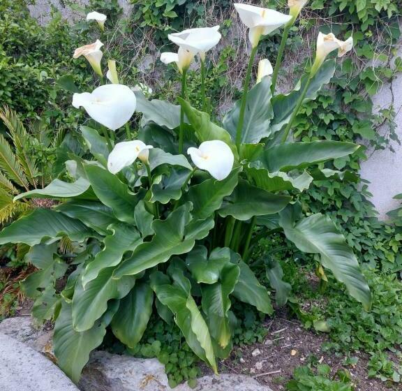 膳宿费 Chambres D Hôtes L Insulaire