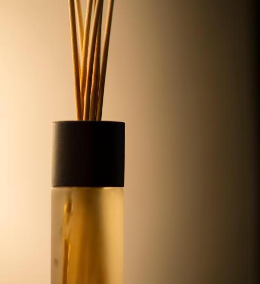 膳宿费 Gastenkamers Uitgaanslapen