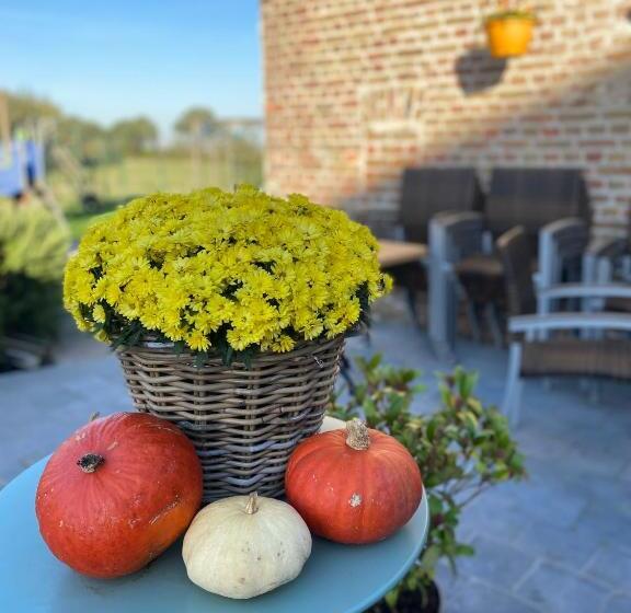 펜션 Hove Ter Hille