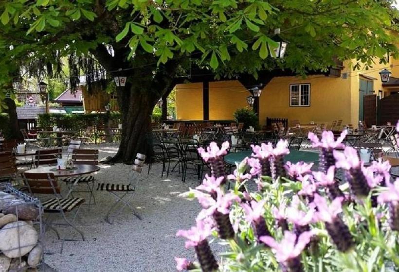 بنسيون Landgasthof Rechenwirt