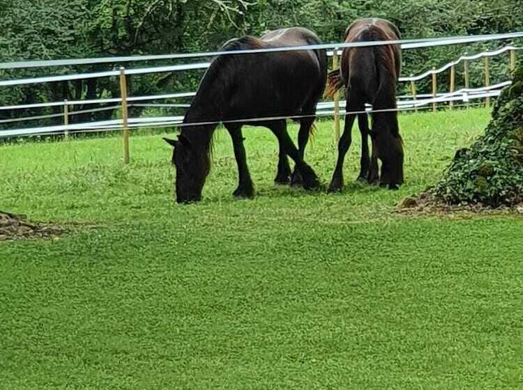 Пансион Le Roulottes Du Petit Gouffre De Padirac Avec Spa