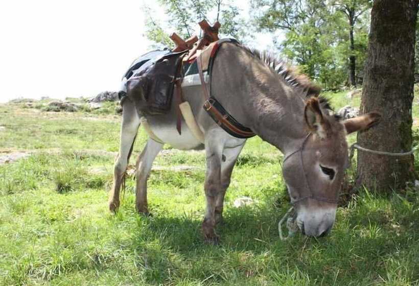 Пансион Le Roulottes Du Petit Gouffre De Padirac Avec Spa