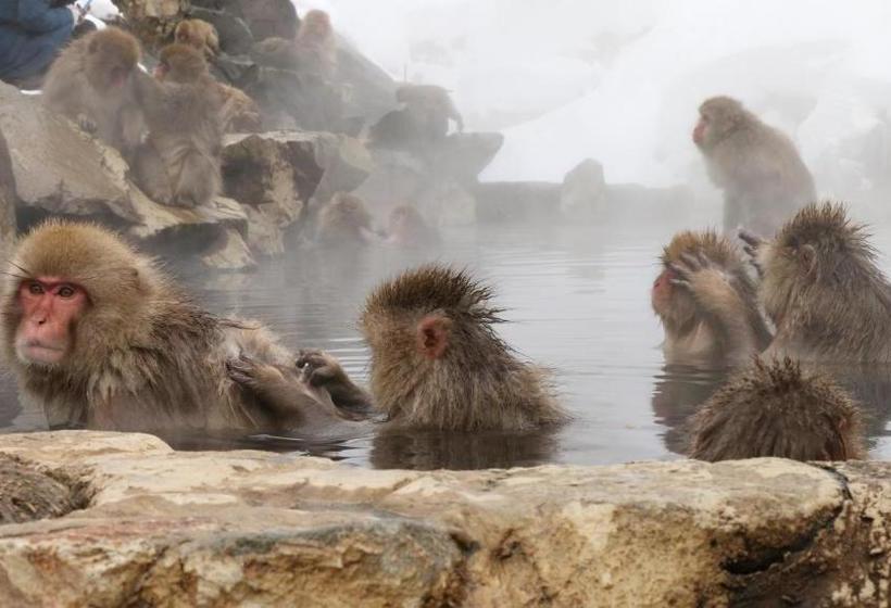 ペンション Minshuku Miyama