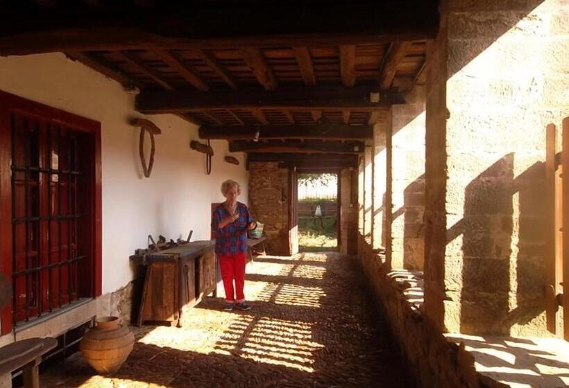 膳宿费 Molinos De Antero