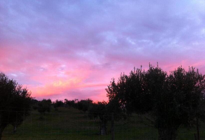 پانسیون Monte Da Boa Vista   Descanso Perfeito