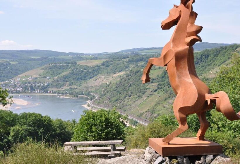 Пансион Nassauer Hof