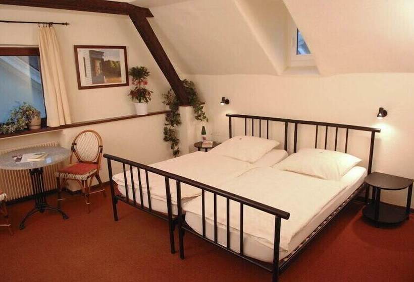 Пансион Nassauer Hof