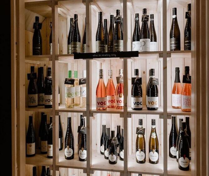 Пансион Penzion Austis