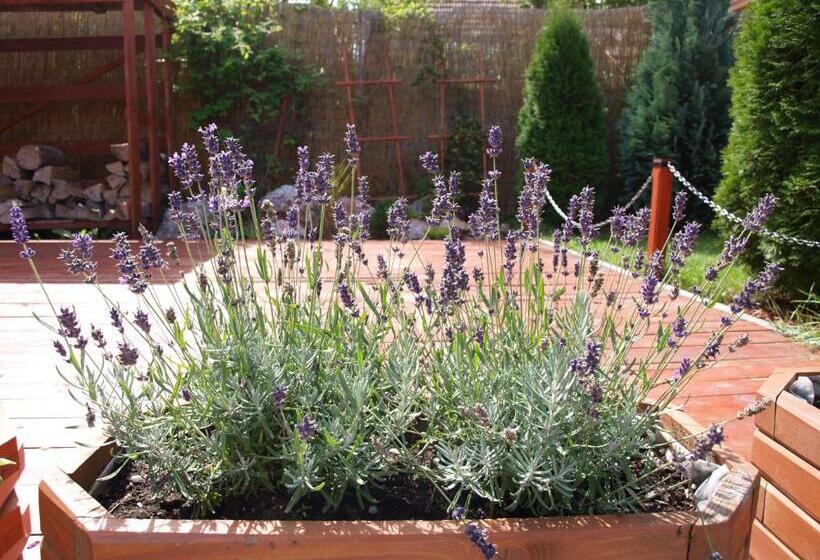 بنسيون Penzion Fortuna