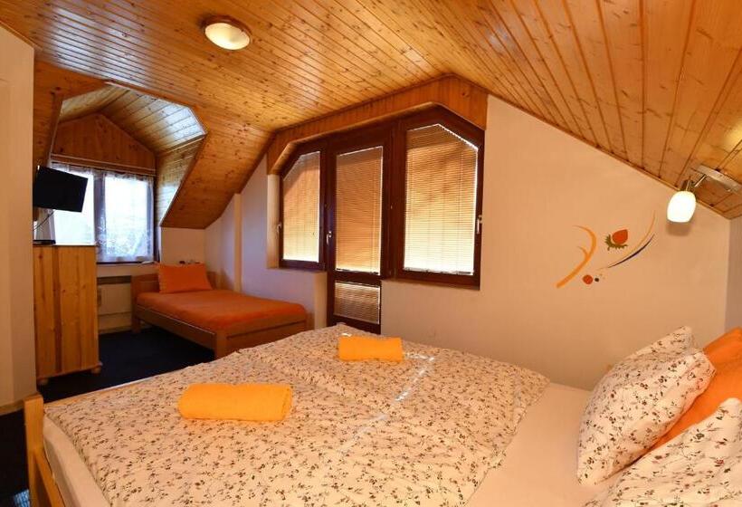 بنسيون Penzion Fortuna