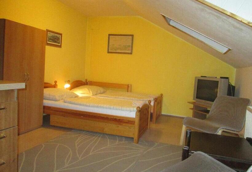 بنسيون Penzion U Holubů Nový Jičín