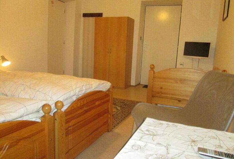 بنسيون Penzion U Holubů Nový Jičín