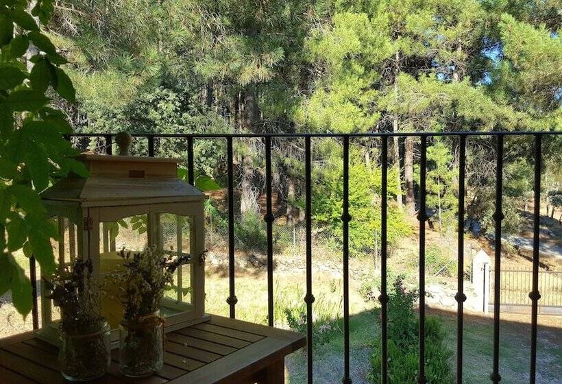 膳宿费 Posada Del Infante Posada Real