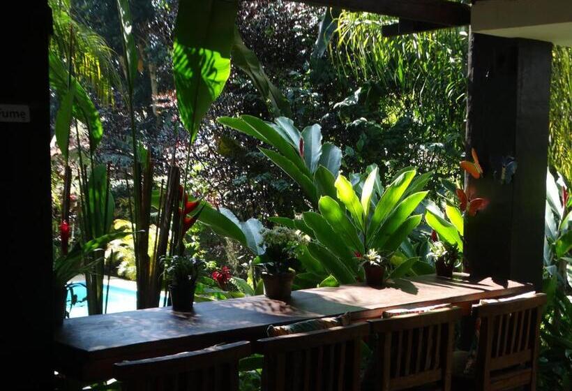 Пансион Pousada Recanto Das Estrelas