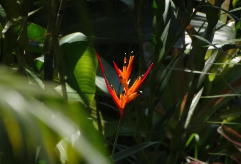 Пансион Pousada Recanto Das Estrelas