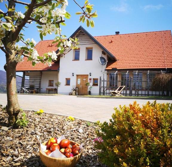 پانسیون Relax Guest Hause Marjanca