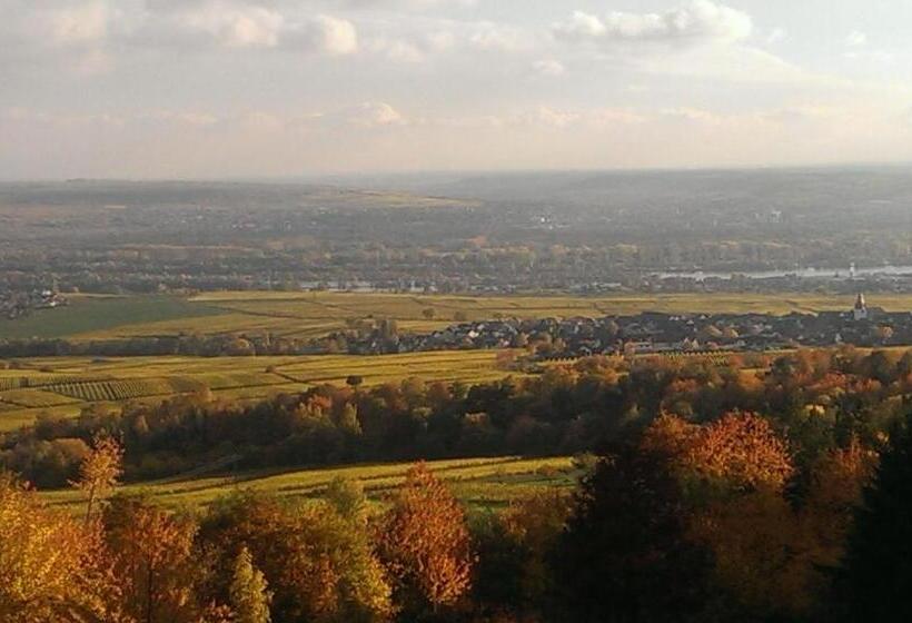 Пансион Zum Rebhang Bed & Breakfast