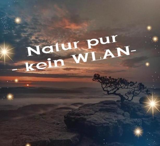 Pension Fuhrmann S Elb  Café